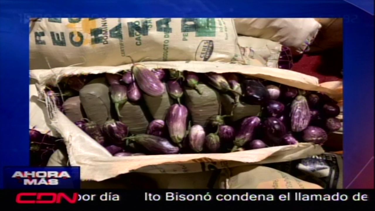 Dican Ocupa 410 Libras De Marihuana Camufladas En Sacos De Berenjenas