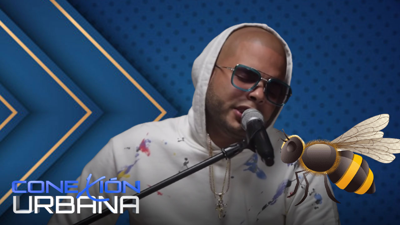 Ala Jaza Es Picado Por Una Abeja En Pleno Concierto En Vivo