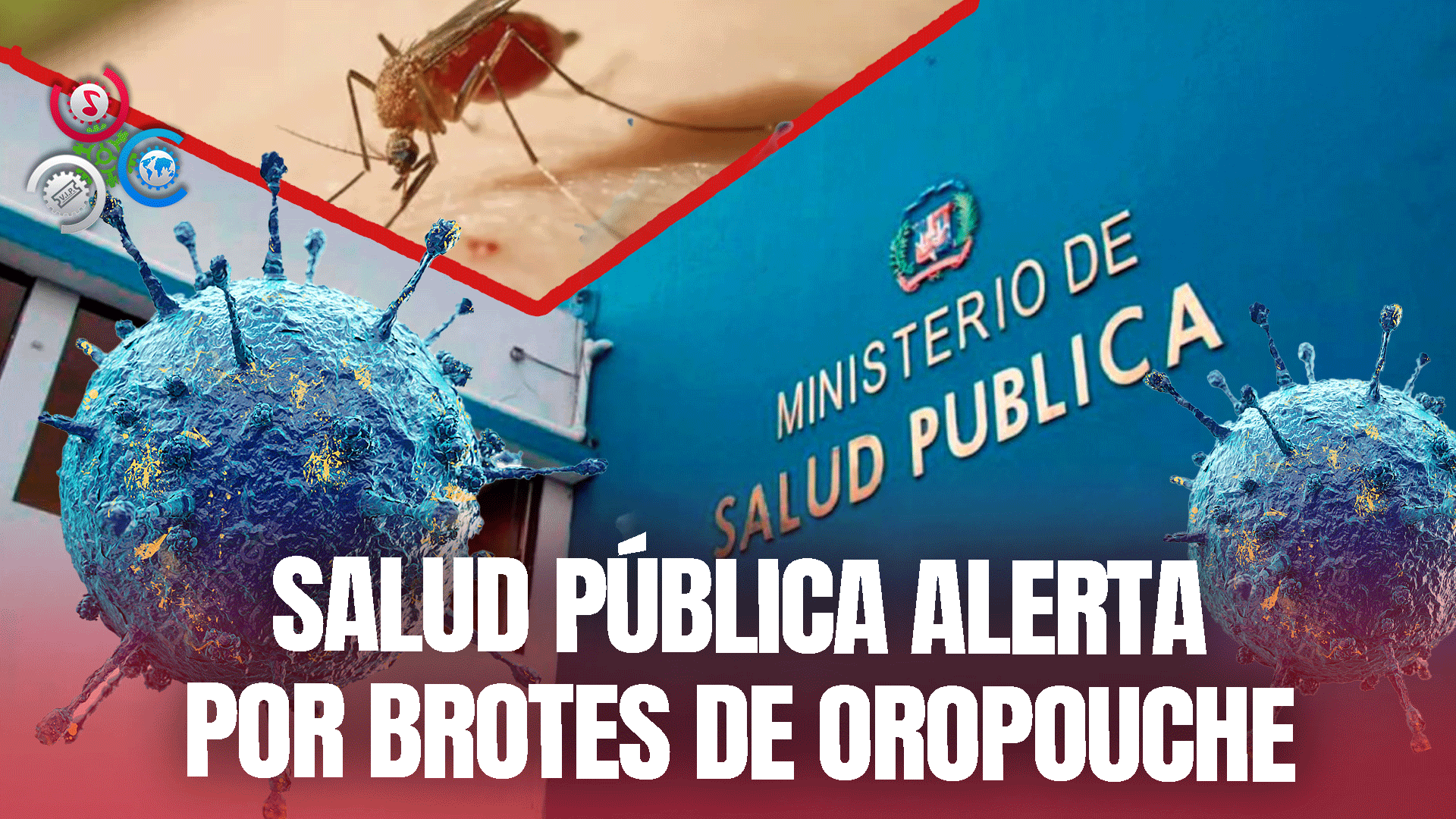 Salud Pública Se Mantienen En Vigilancia Por Casos De Oropouche En El Exterior
