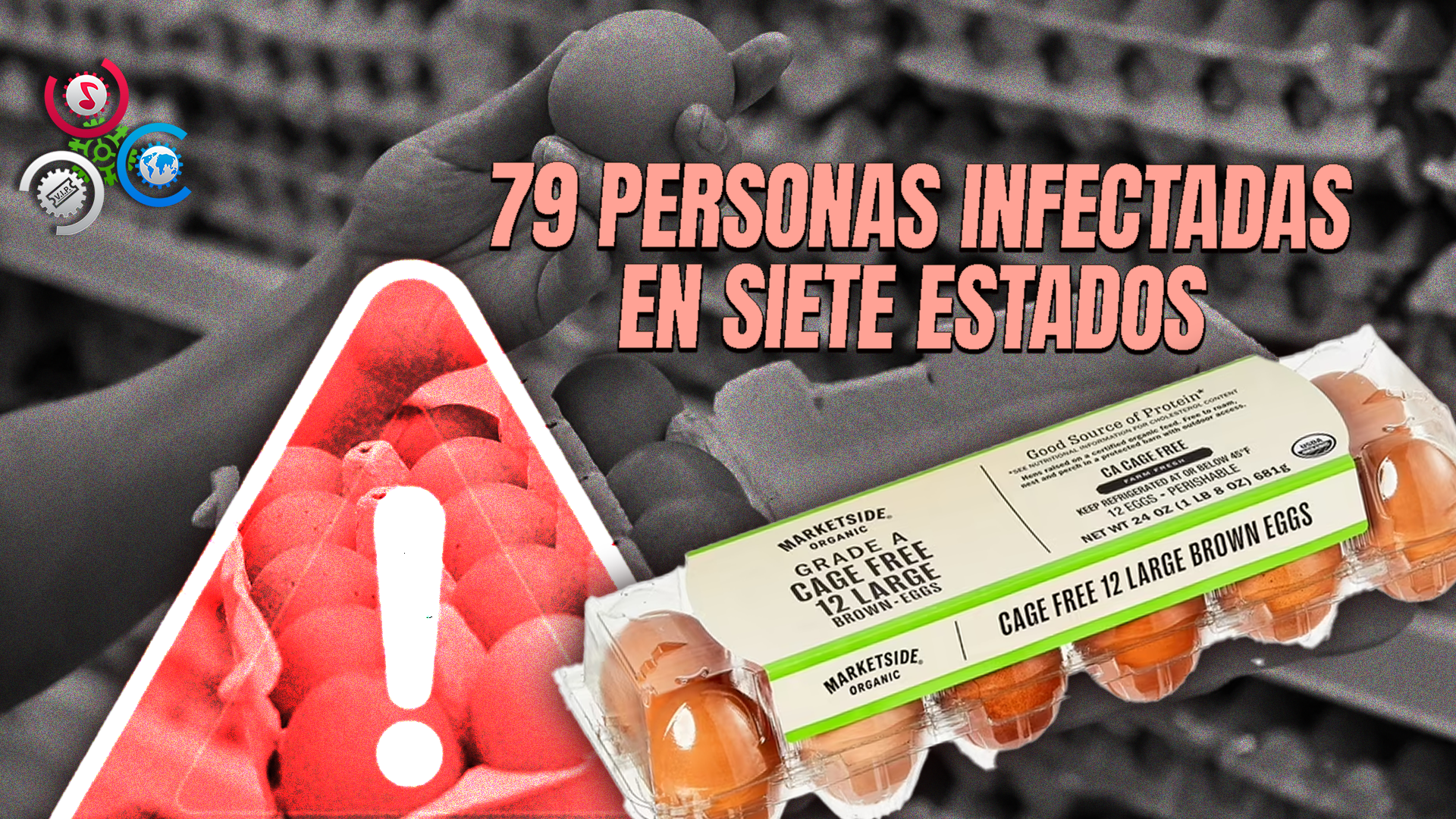 Alerta Por Brote De Salmonela: Retiran Más De 20 Millones De Huevos En EE. UU.