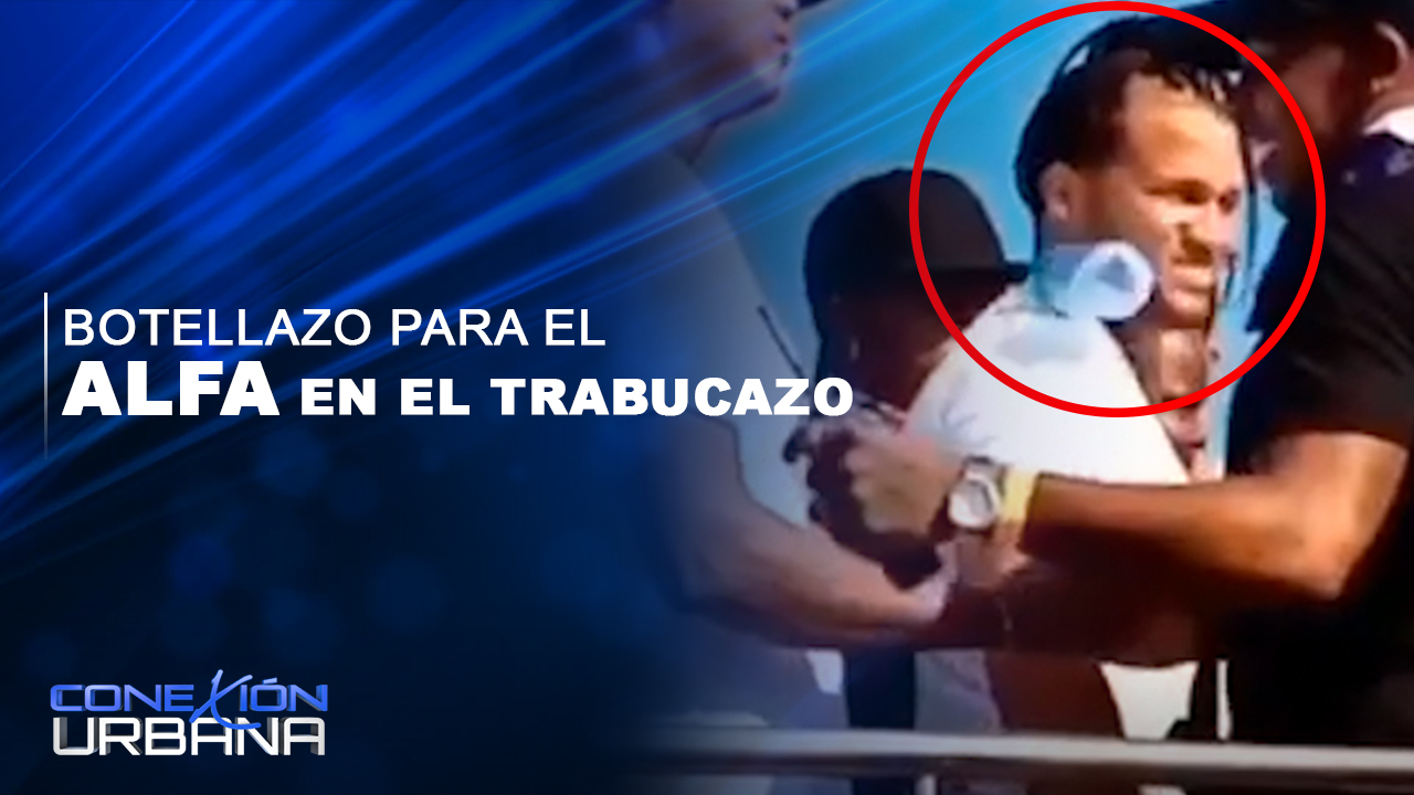 Tremendo Botellazo Le Lanzan A El Alfa A La Cara
