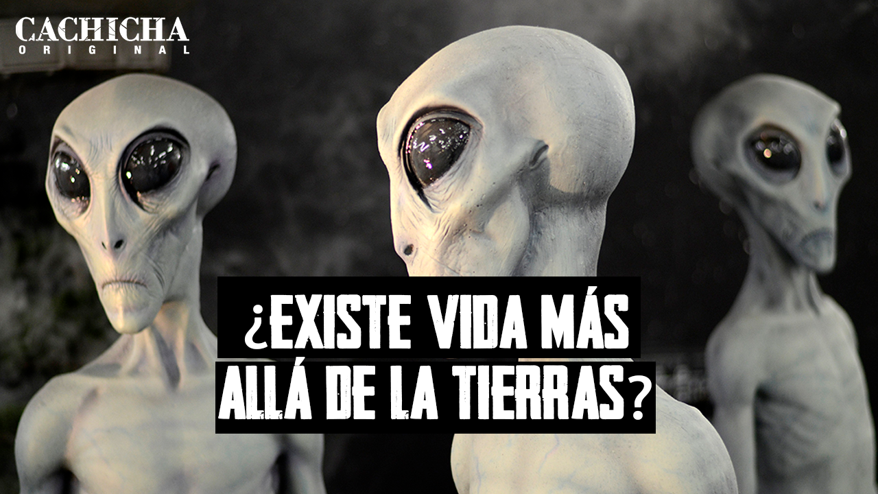 Científicos Revelan Si Hay Vida Alienígena O No En El Universo