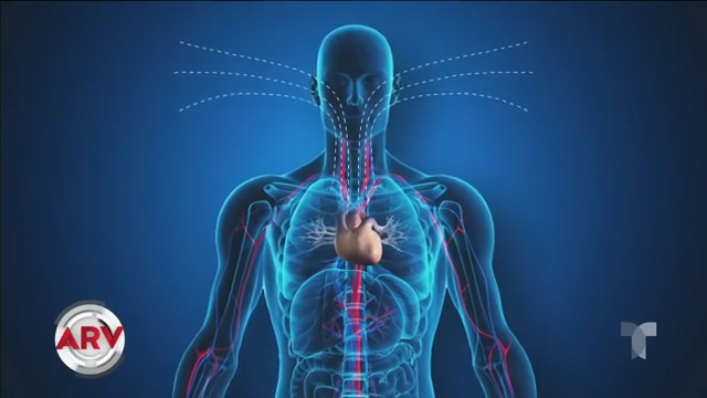 Esto Es Lo Que Pasa Con El Cuerpo Cuando Contraes Coronavirus