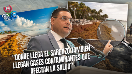 Ambientalistas Alertan Sobre Llegada Masiva De Sargazo Al Malecón De Santo Domingo