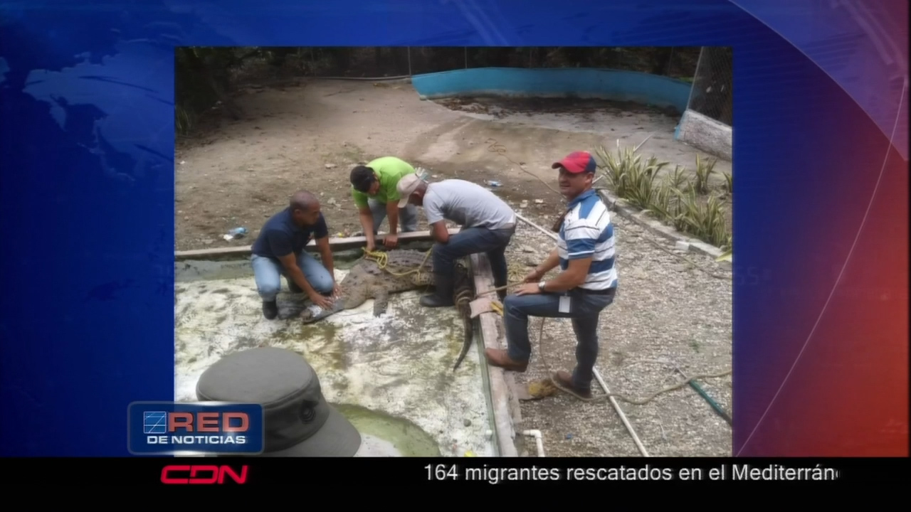 La PRG, Medio Ambiente Y SEMPA Ocuparon Decenas De Reptiles Y Aves Exóticas En Un Centro Turistico En San Cristobal