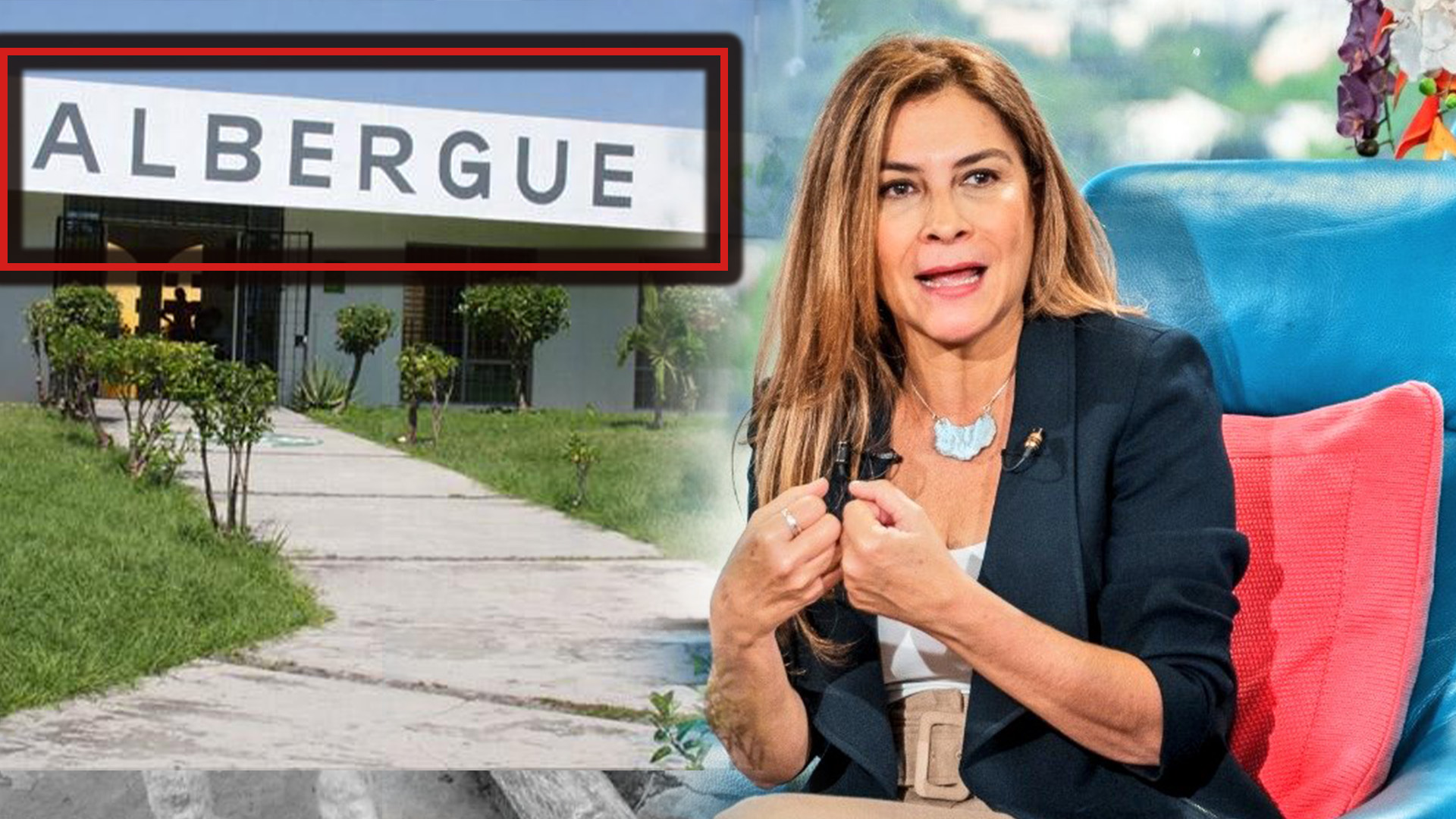 El Plan De Carolina Mejía Para Ayudar Al Cuidado De Los Animales