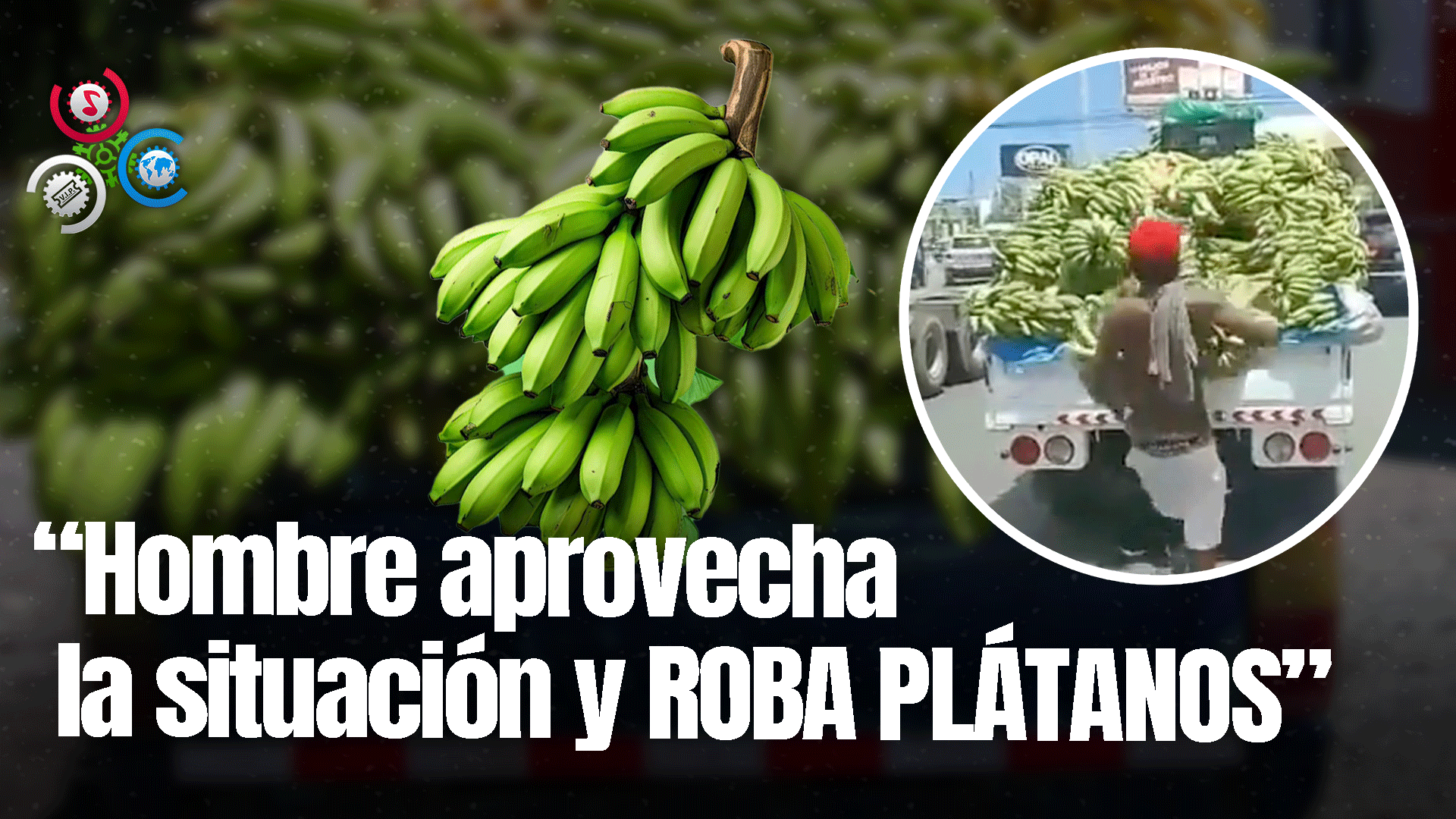 Hombre Roba Racimo De Platano En Pleno Semáforo De La Ave. Isabel Aguiar