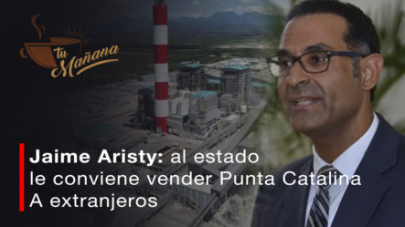 Según Jaime Aristy: Lo Que Más Le Conviene Al Estado Dominicano Es Vender Punta Catalina A “Extranjero”