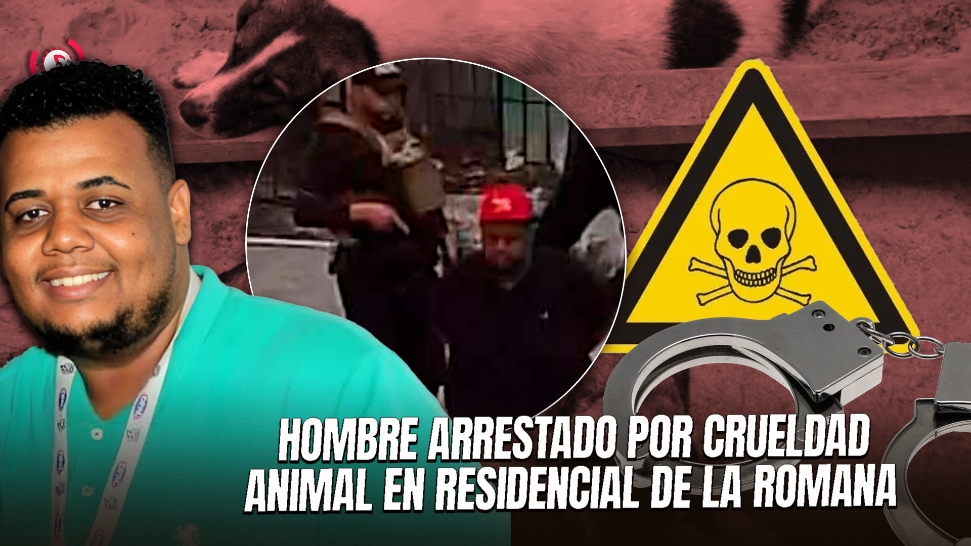 Arrestan A Sujeto Por Envenenamiento Masivo De Animales En Residencial De La Romana