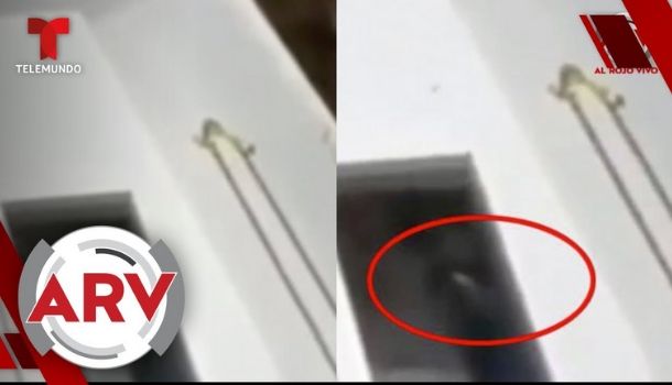 Cadaver Saluda Desde La Caja Y Los Que Estaban Presentes Casi Se Caen Muertos