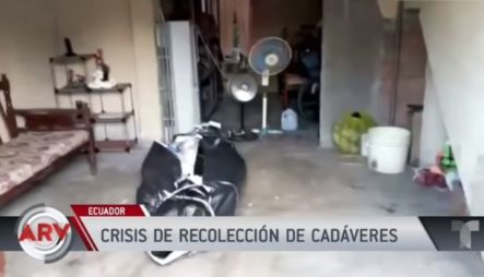 Video: En Ecuador Personas Guardan Cadáveres En Sus Casas Por Coronavirus