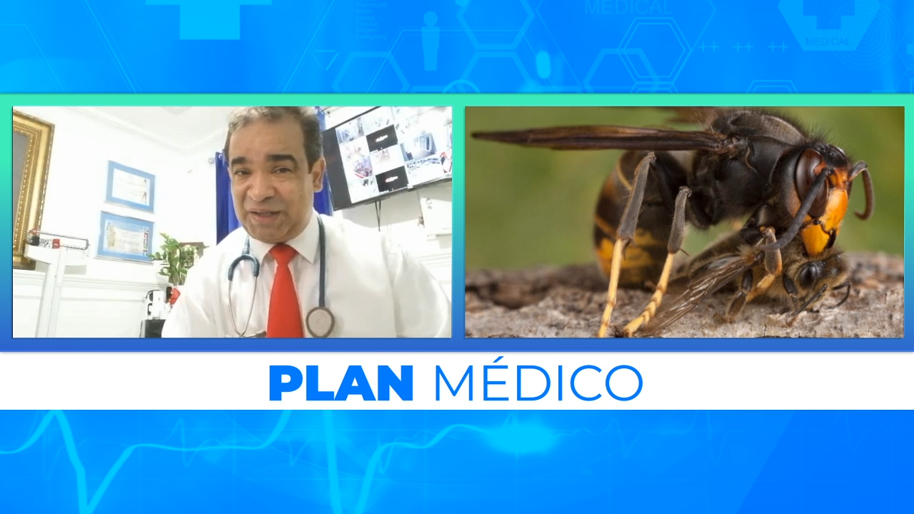 La Reacción Alérgica Que Puede Provocar La Picadura De Avispa Asesina