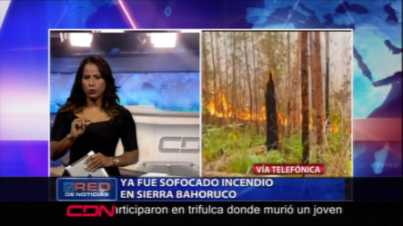 Ya Fue Sofocado El Incendio Que Afecto La Sierra De Bahoruco