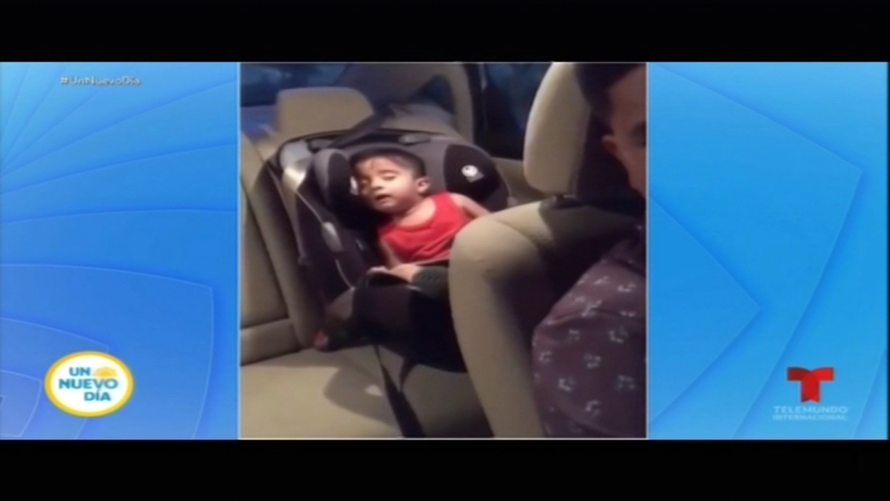 Niño Despierta Bailando Luego De Escuchar La Canción “Baby Shark”