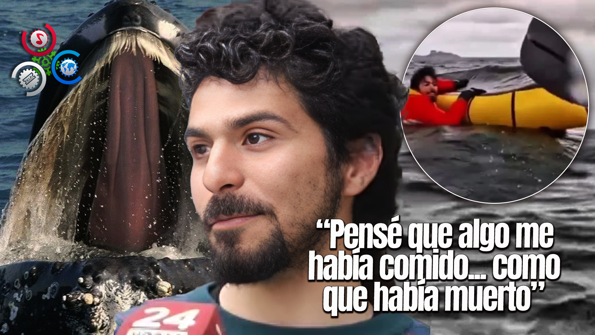 Venezolano Relata Su Experiencia Tras Ser “tragado” Por Una Ballena En El Sur De Chile