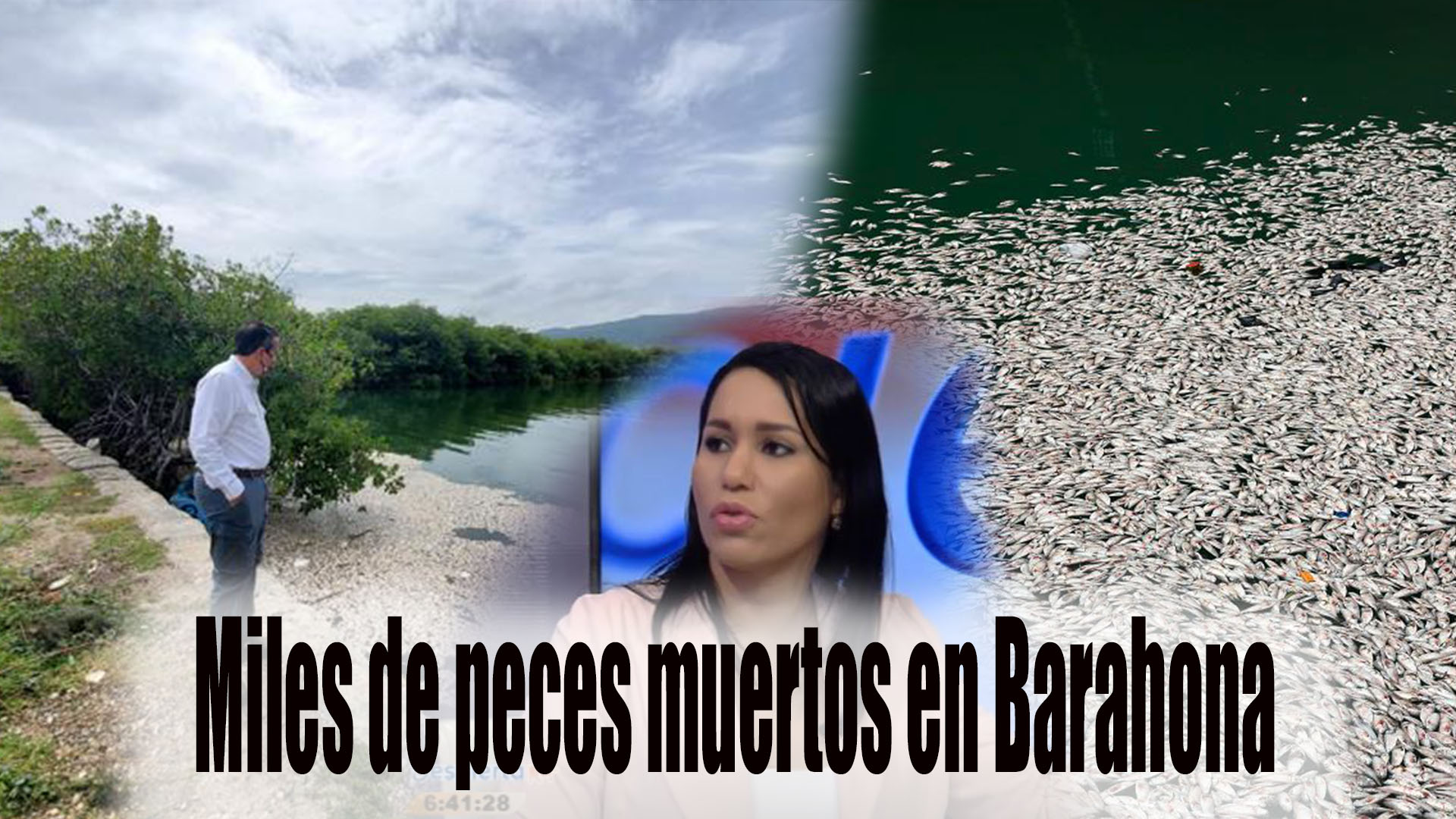 Miles De Peces Muertos En Barahona