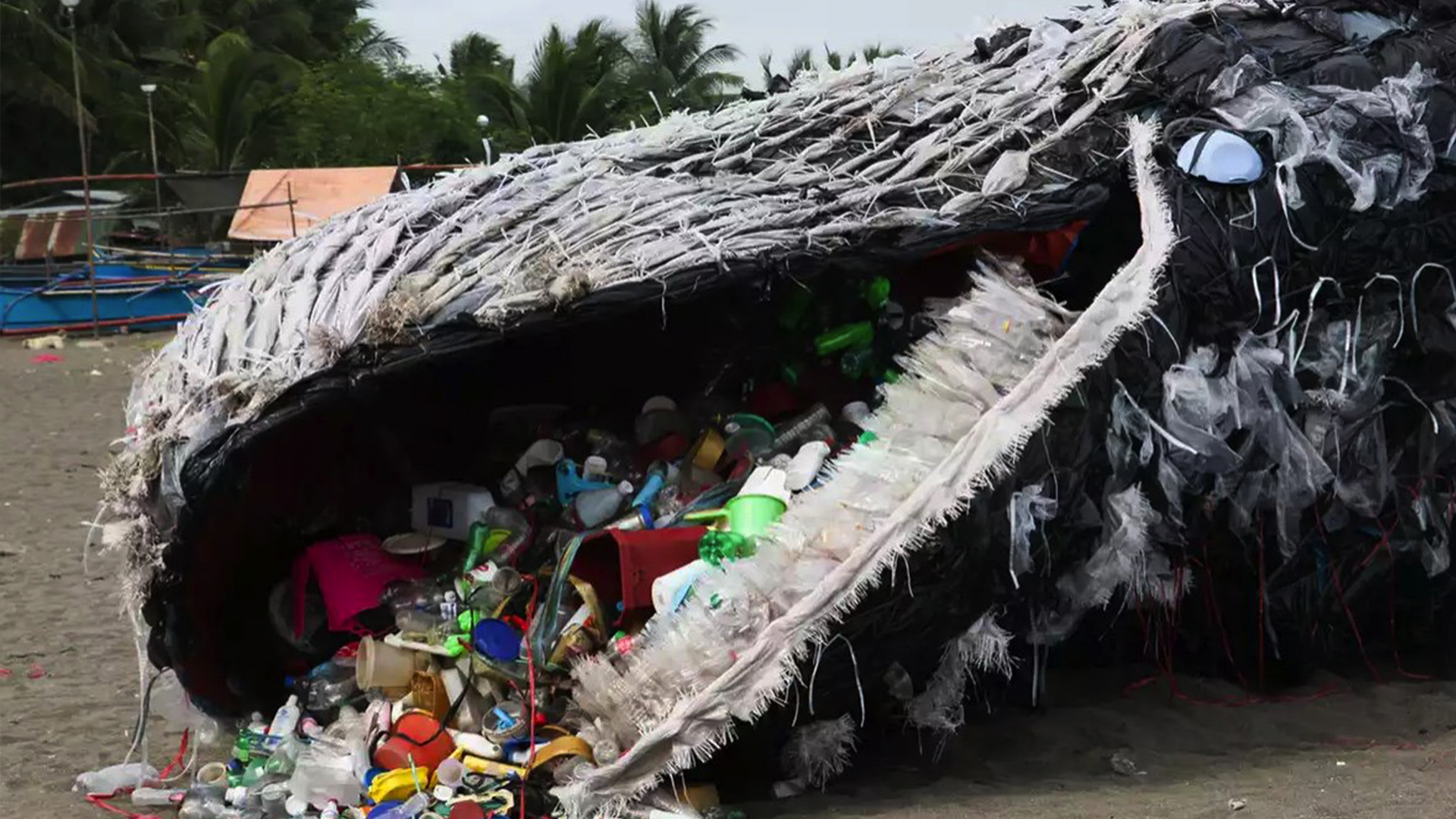 El Mal Manejo Con La Basura Que Acaba Con Los Animales
