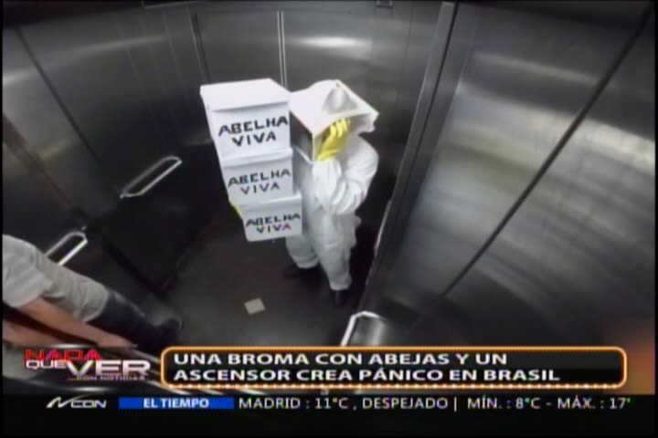 El Canal Brasileño Boom Realiza Nueva Broma Pesada Con Abejas