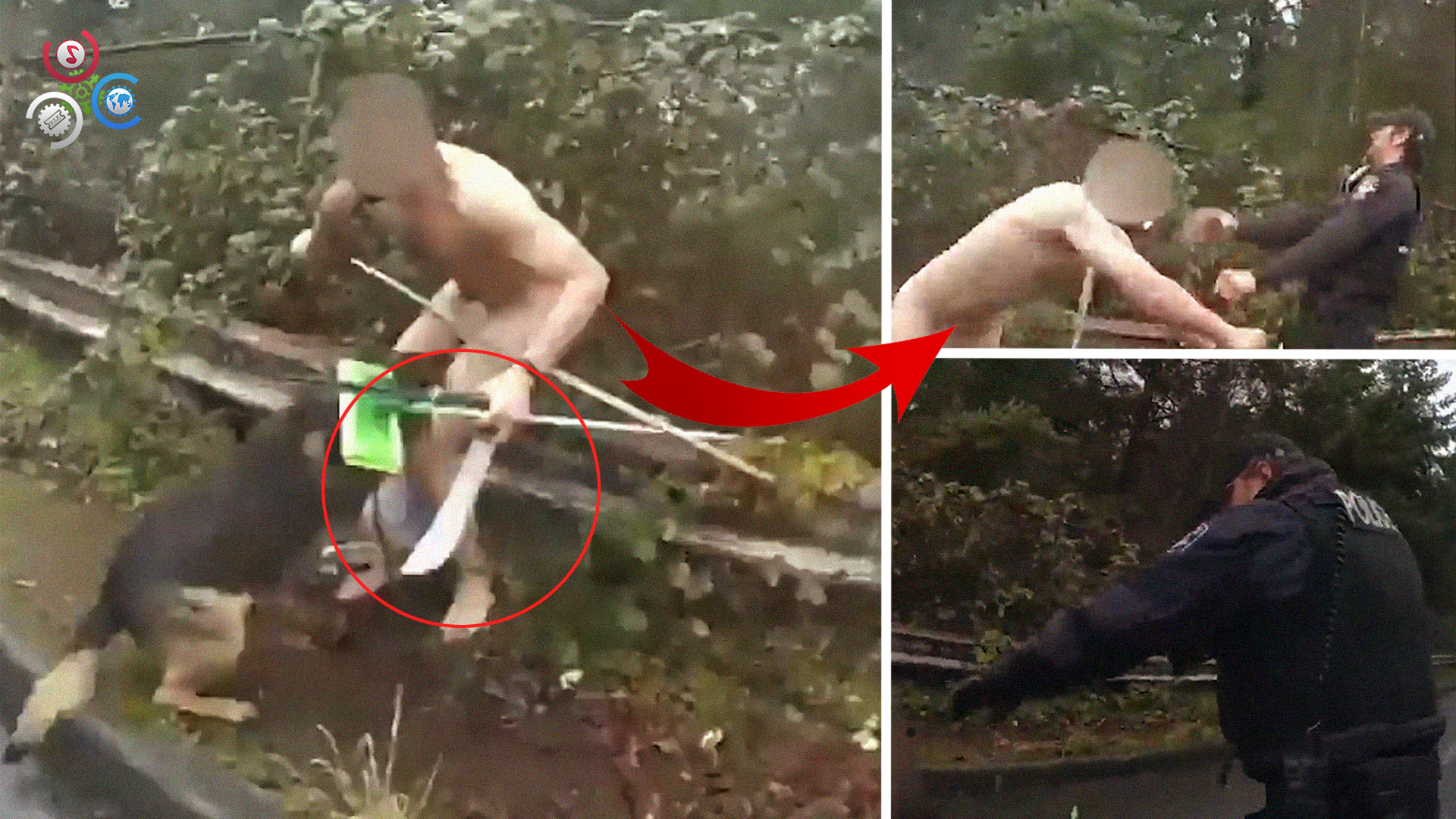 (Sensible) ¡Policía Dispara A Hombre Mientras Apuñala A Un Perro Policía Que Lo Atacaba!