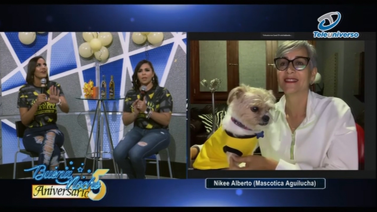 El Elenco De Buena Noche Realiza La Mejor Entrevista Del Mundo A La Mascota De Las Águilas Cibaeñas, Nikee Alberto El Perrito