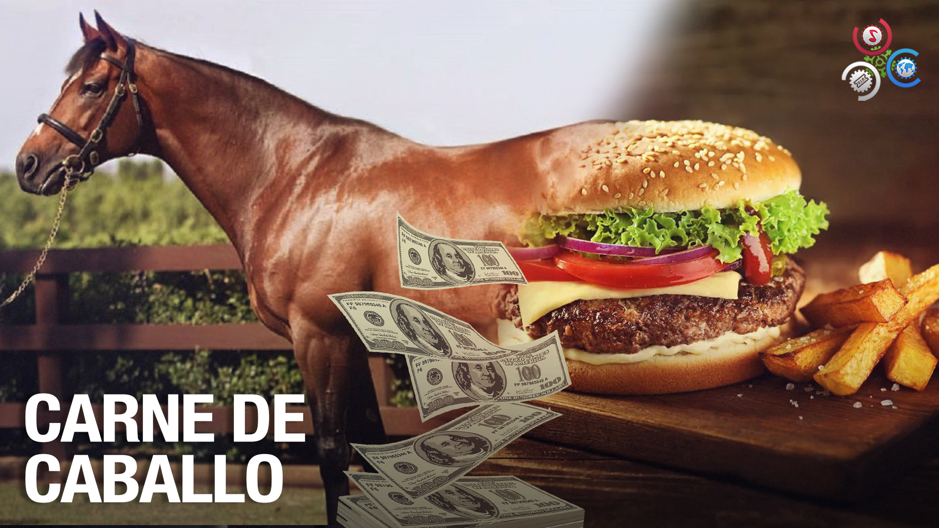 ¡Venden TONELADAS De Carne De Caballo A Restaurantes Y Carne Podrida En Brasil!