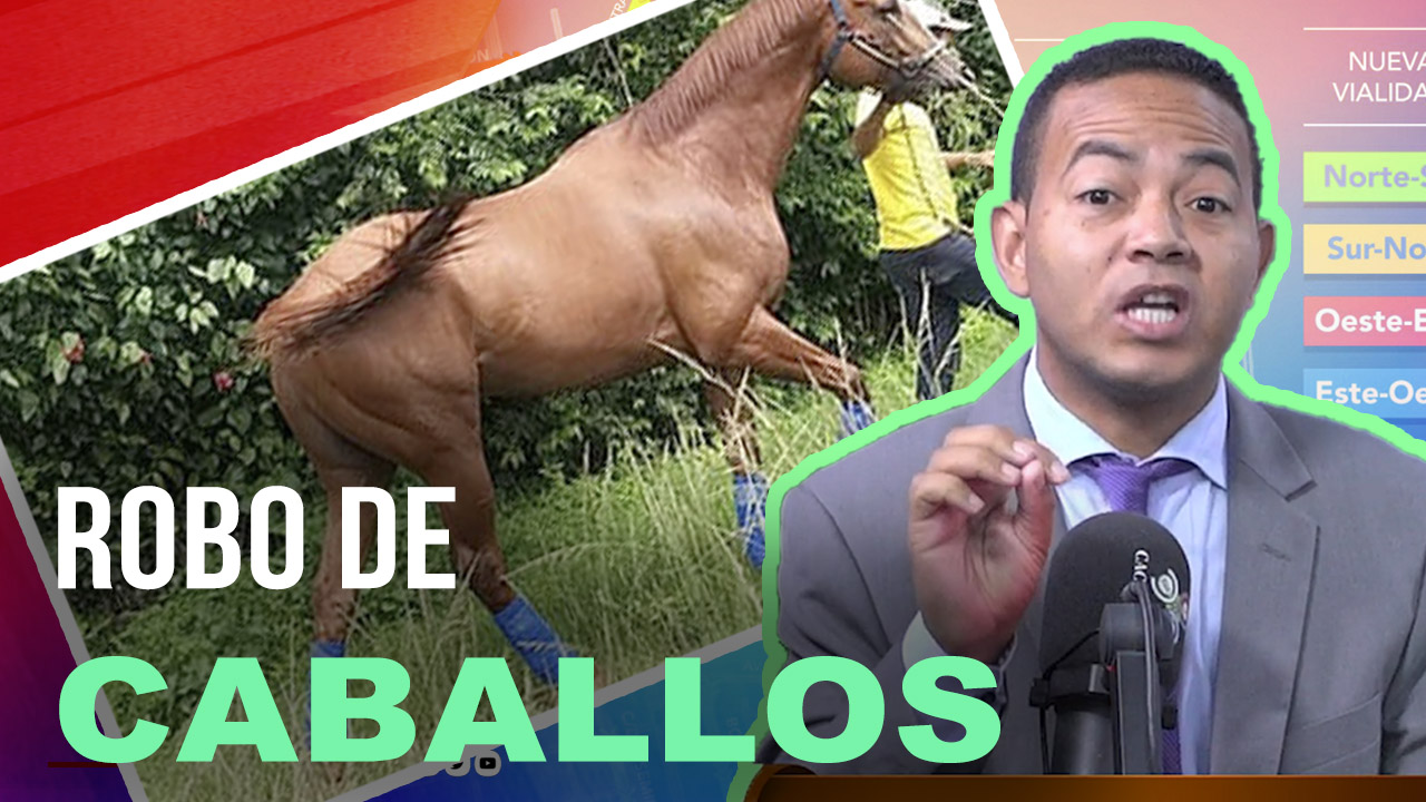El Robo De Caballos En San Pedro Para Venderlos Para Comer | Tu Mañana By Cachicha