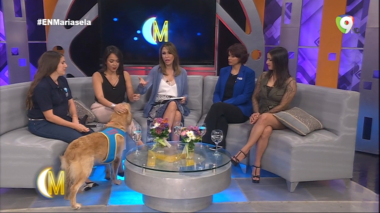 Interesante Iniciativa De CAID: Terapias Asistidas Con Perros Entrenados A Niños Con Autismo