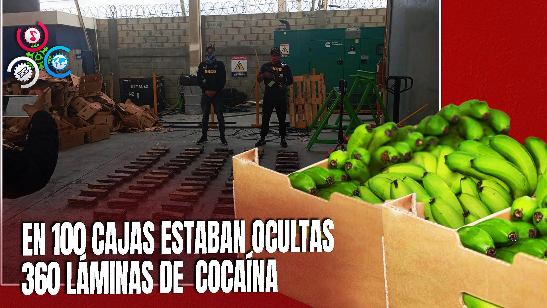 Incautan Paquetes De Sustancias Ilícitas En Contenedor De Guineos En Montecristi