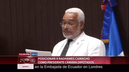 Queda Posicionado El Diputado Radhamés Camacho Como Nuevo Presidente De La Cámara De Diputados