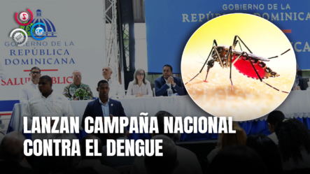 Gobierno Lanza Jornada Nacional Contra El Dengue “Eliminando Los Criaderos, Evitamos El Mosquito Transmitor”