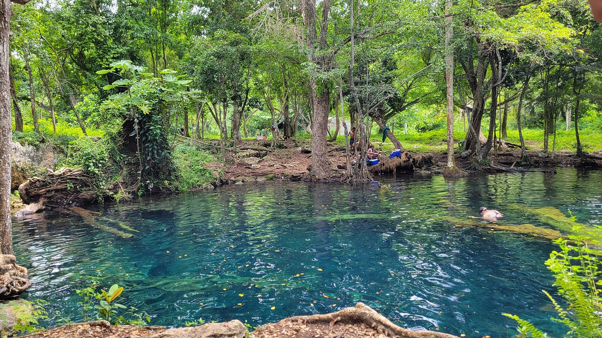 Hoyo Claro: Bienes Nacionales Suspende Pago Millonario Hasta Investigar Títulos
