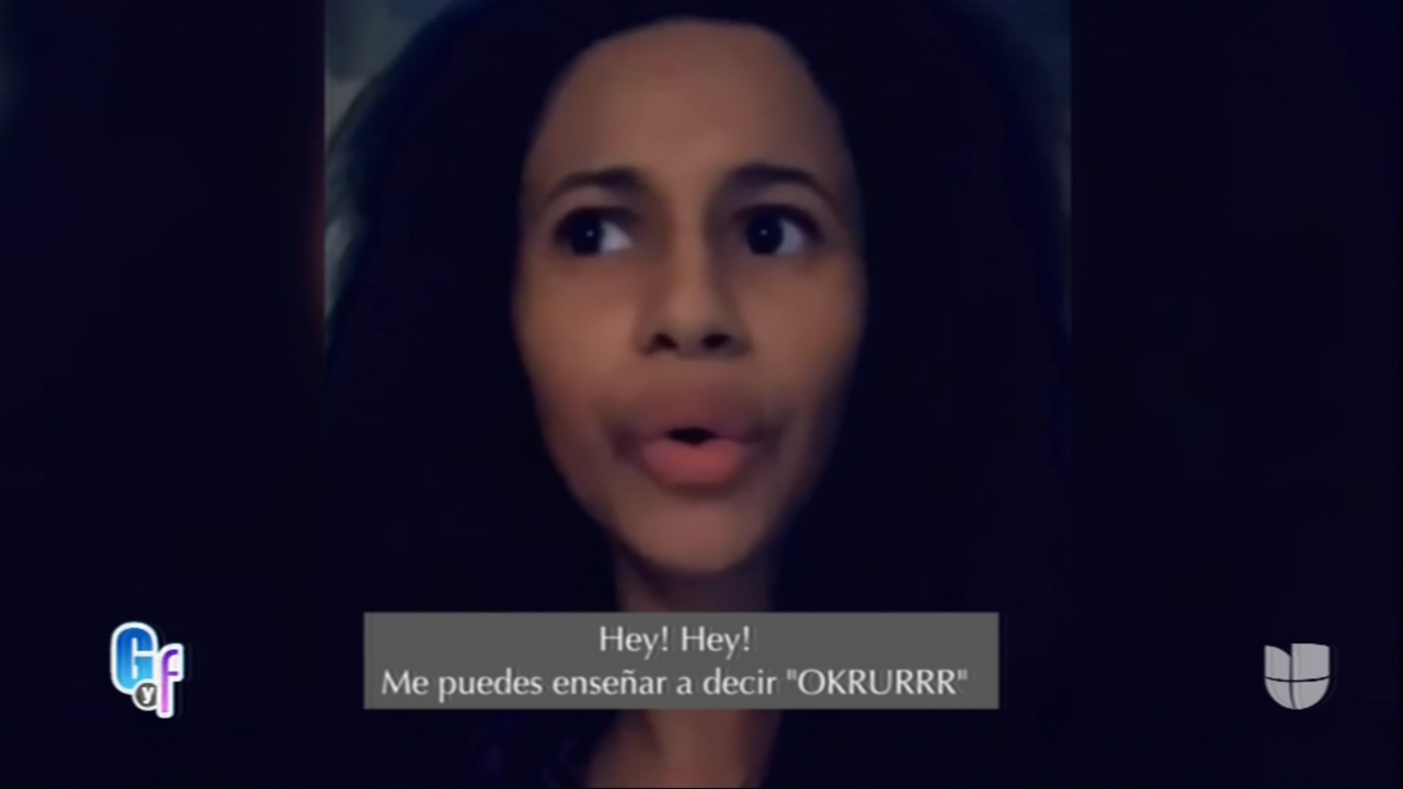 Fanáticos En NY Opinan Sobre La Frase Célebre De Cardi B