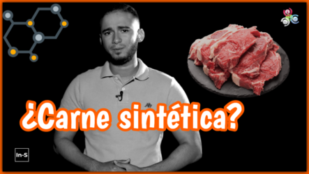 ¿Cuándo Empezará El Consumo De Carne Creada En Un Laboratorio?  -In-Science