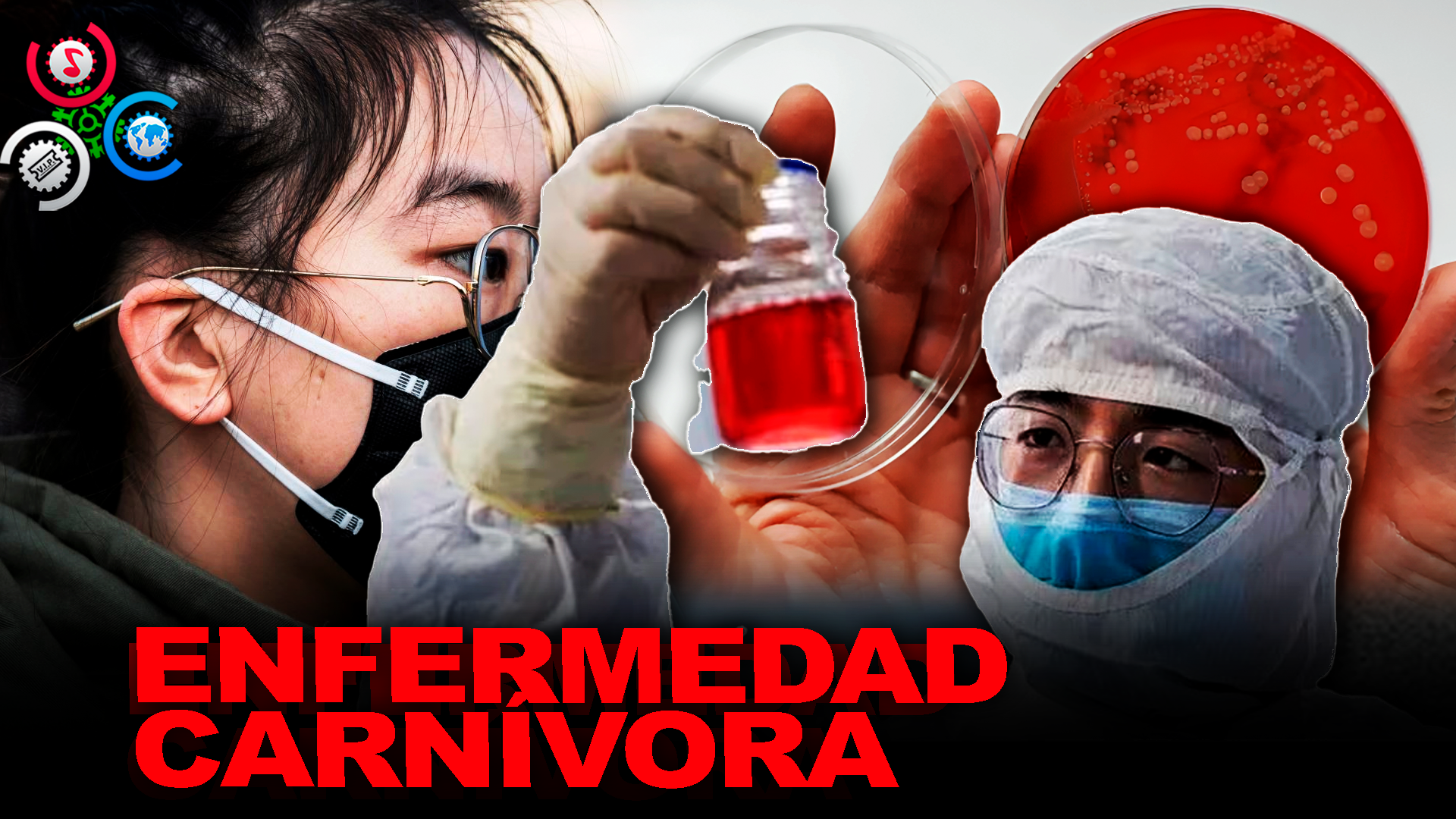 ALERTA EN JAPÓN POR ENFERMEDAD CARNÍVORA