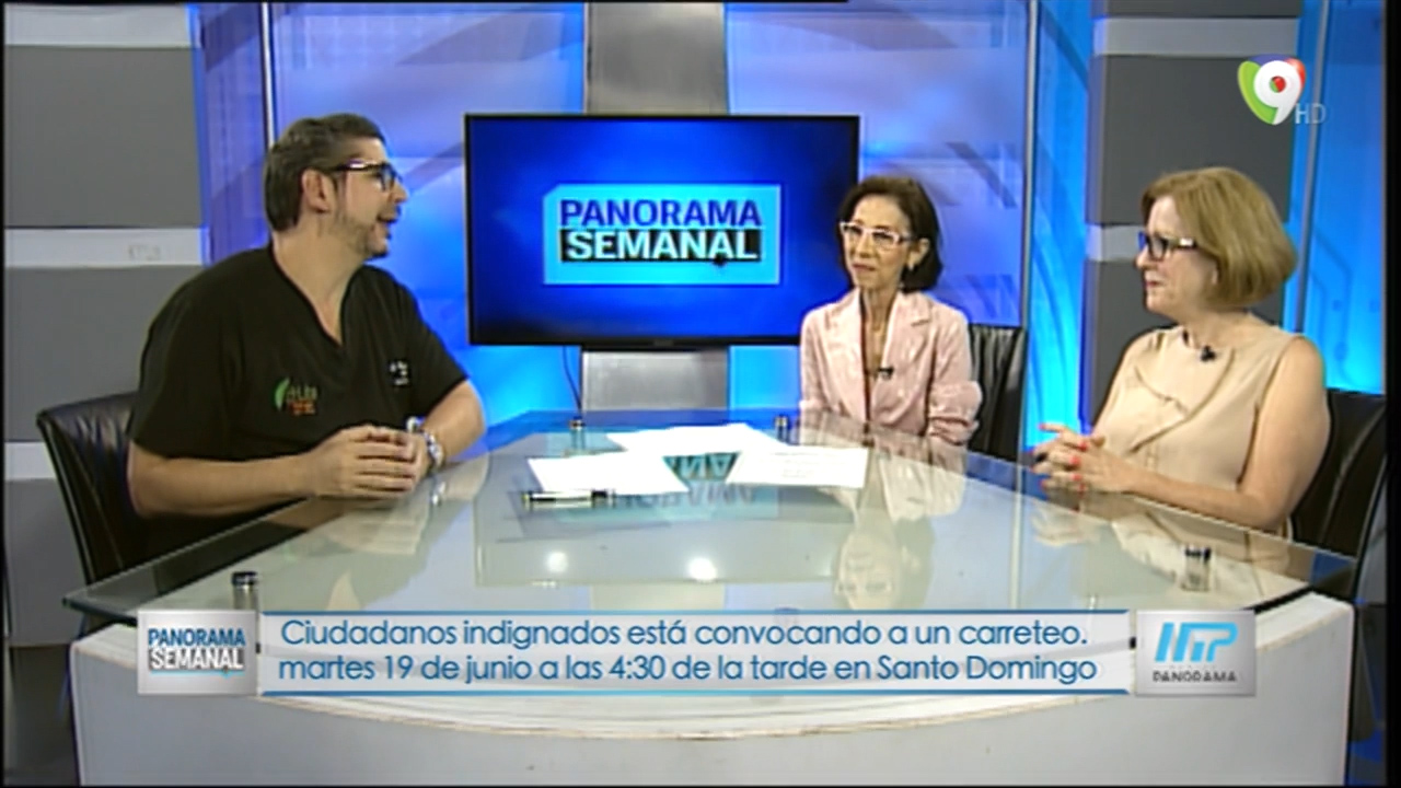 Panorama Semanal: Conversando Con Luaiti Santaella Y Virginia Álvarez Gautier Sobre El Carreteo Convocado Por Los Ciudadanos En Santo Domingo