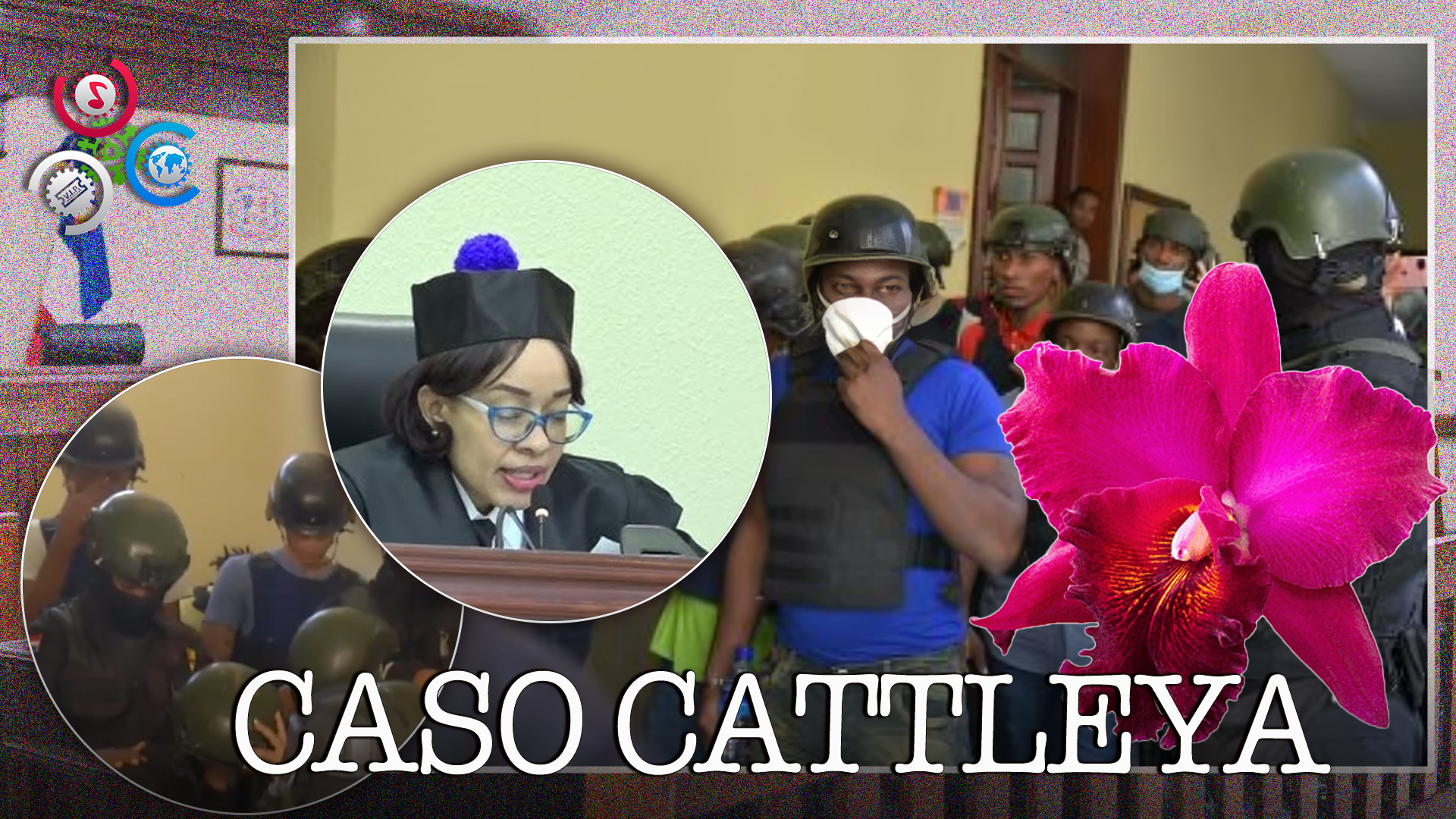 Tribunal Del Distrito Nacional Dicta Sentencia En Caso Cattleya