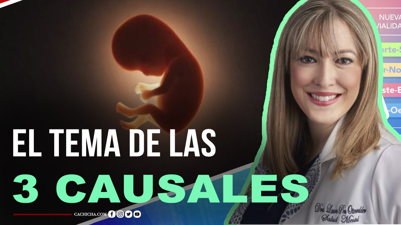 La Psiquiatra Laura Pou Habla Acerca Del Tema De Las 3 Causales