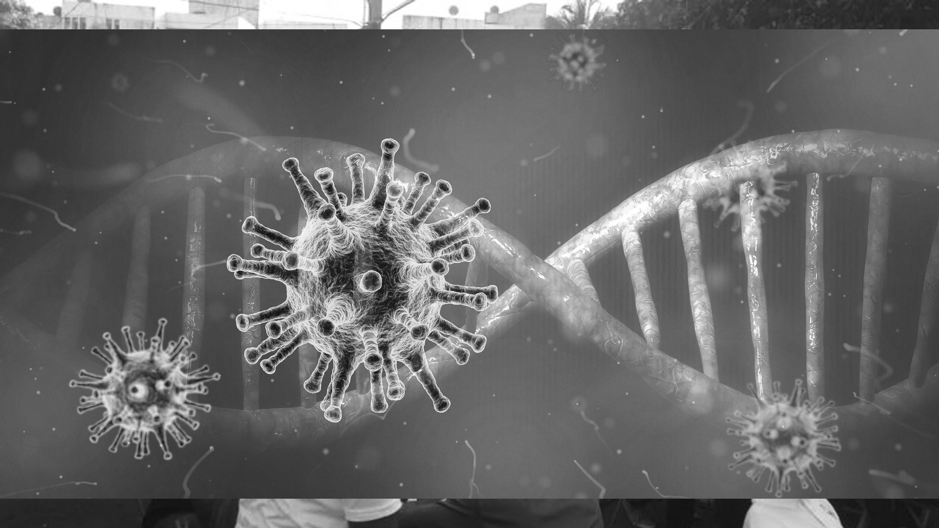 Politiquería Vs Coronavirus
