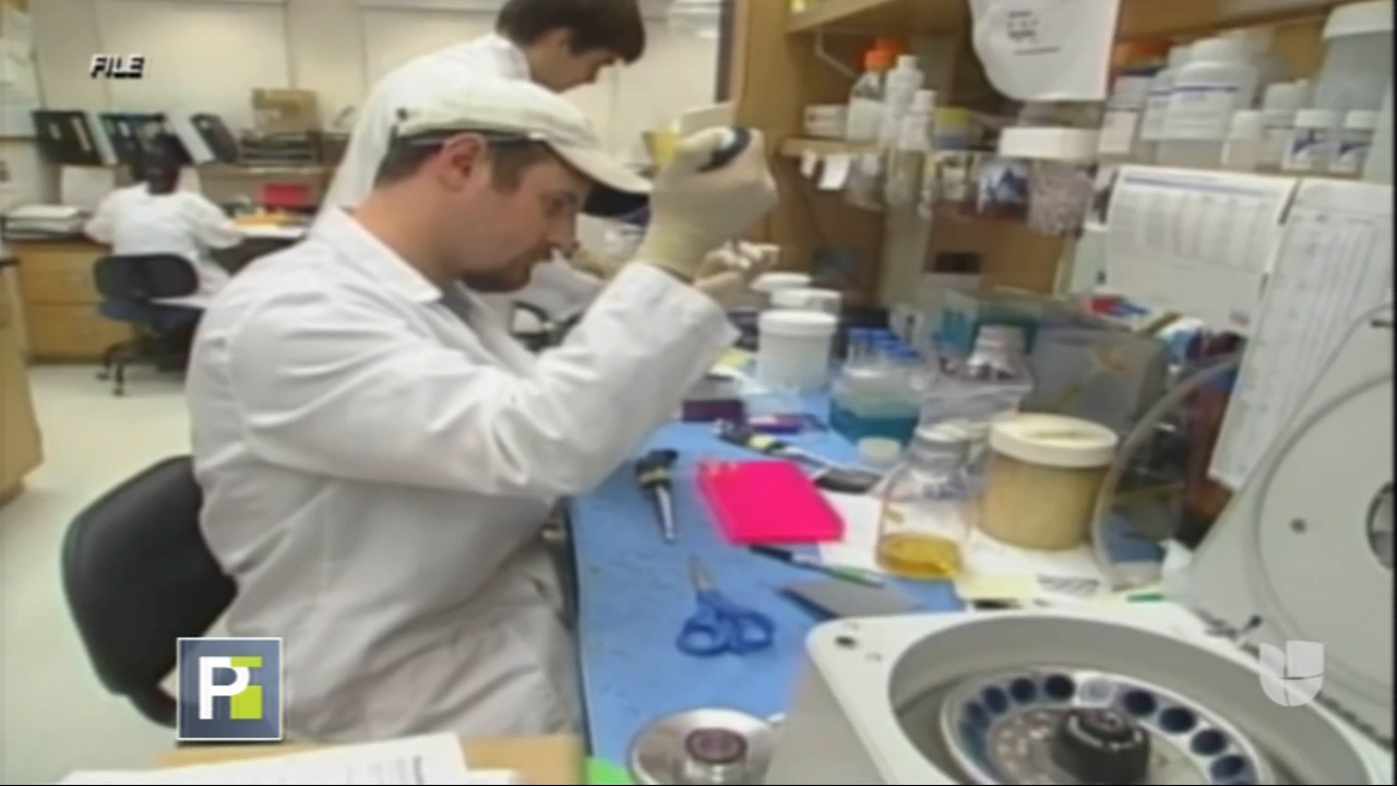 Posible Segundo Caso De Una Persona Que Se Cura Del VIH Por Tratamiento De Células Madres