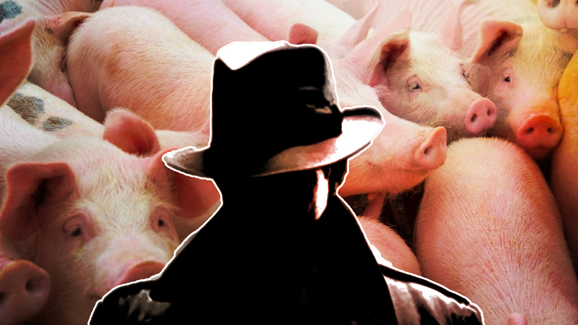 Edison Meléndez Denuncia Lo Que Hacen Las Autoridades Con Las Granjas De Puercos