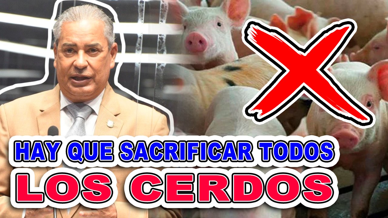 Según Diputado Abel Lora: “Hay Que Sacrificar Todos Los Cerdos Para Eliminar Gripe Porcina” | Tu Mañana By Cachicha