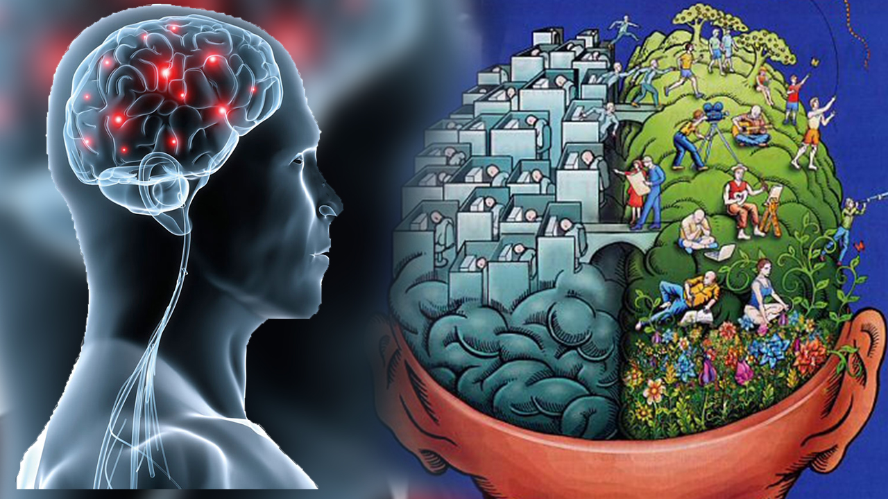 Ejercicios Que Ayudan Al Buen Funcionamiento Del Cerebro