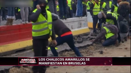 Los Chalecos Amarillos Se Manifiestan En Bruselas