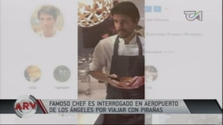 Famoso Chef Detenido En Aeropuerto De Los Ángeles Por Viajar Con Pirañas