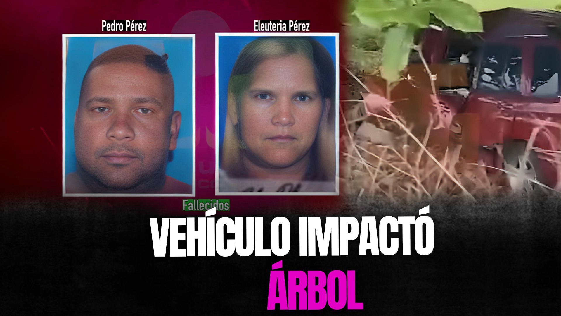 Vehículo Impactó Árbol En La Carretera De Fantino, Sánchez Ramírez; 2 Personas Fallecieron