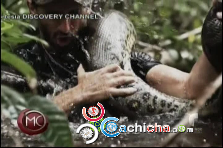 Cineasta Intenta Ser Devorado Por Anaconda