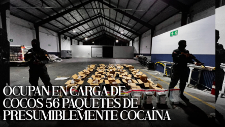 Ocupan En Carga De Cocos 56 Paquetes De Presumiblemente Cocaína En El AILA