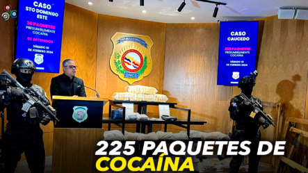 DNCD Ocupa 225 Paquetes De Cocaína En El Puerto Multimodal Caucedo