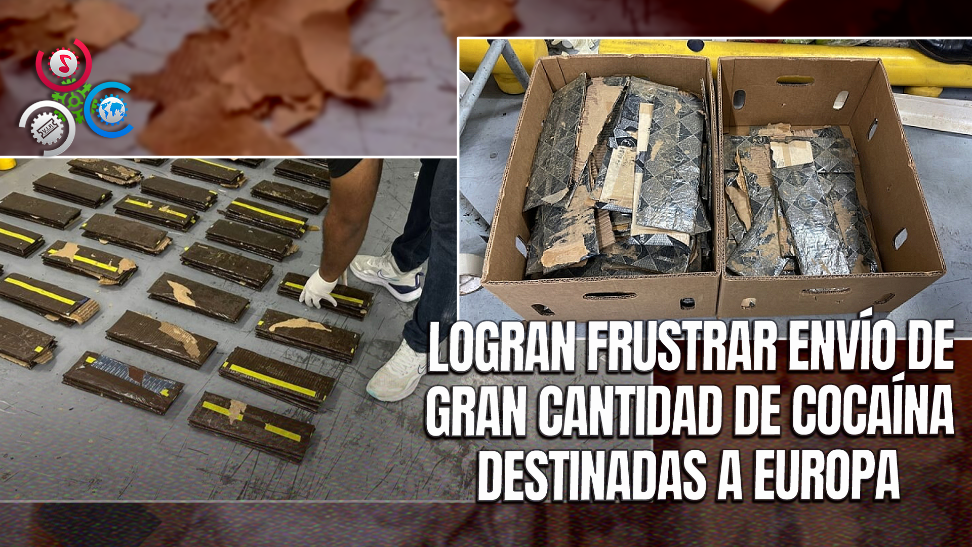 DNCD Frustra Envío De 392 Láminas De Presunta Cocaína Ocultas En Cajas De Banano Hacia Europa