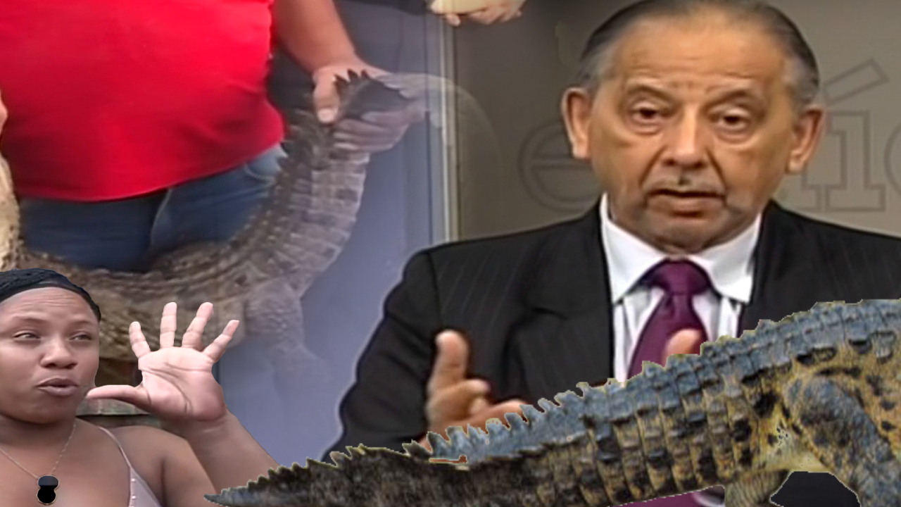 Huchi Lora: Agarraron Al Bebé Cocodrilo Pero.. Mamá Y Papá ¿Dónde Están?